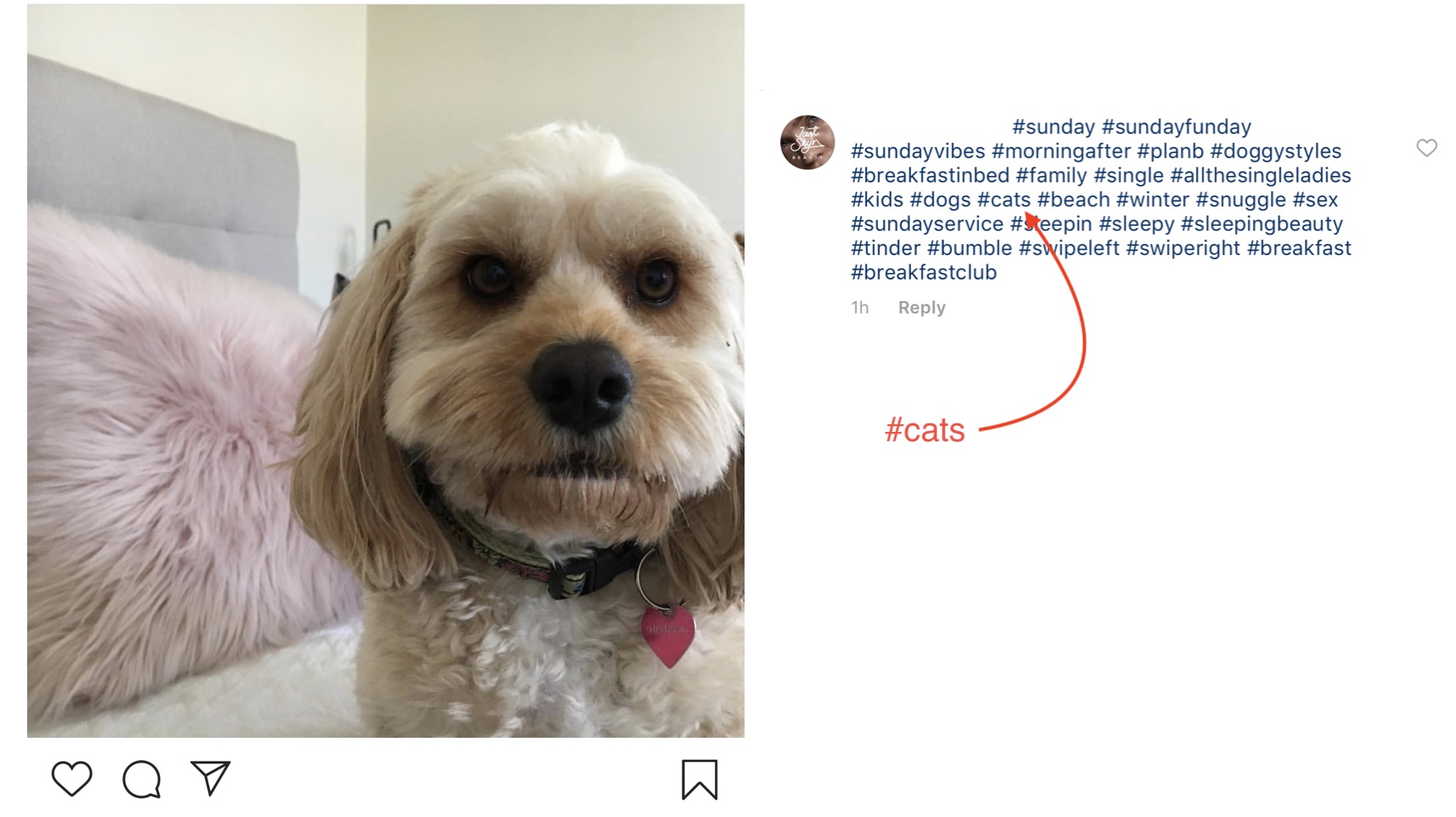 Jak dodawać hashtagi na Instagramie
